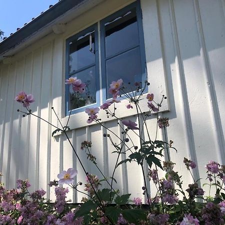Seaside Cottage Haga Park Frobygarda Exterior foto